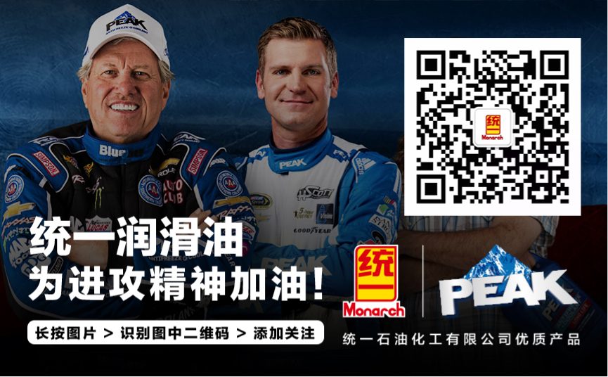 达喀尔拉力赛总冠军吕克・阿尔方