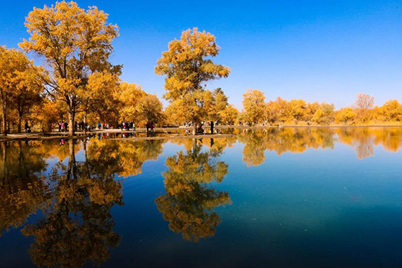 统一润滑油小课堂：这些不好的习惯，你中了几个？