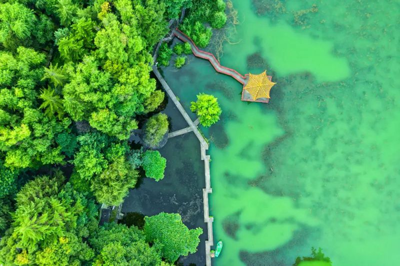 世界湿地日，这些知识点你了解吗？