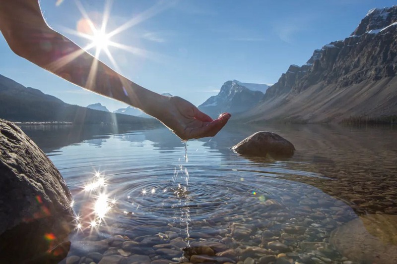 世界湿地日，这些知识点你了解吗？