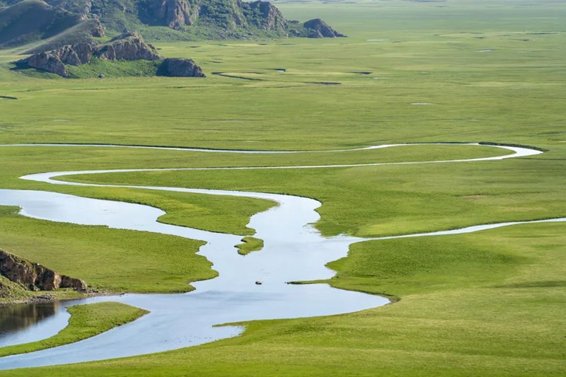 世界湿地日，这些知识点你了解吗？