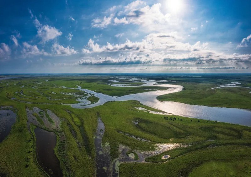 世界湿地日，这些知识点你了解吗？