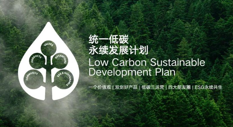 低碳转型过程中的统一经验